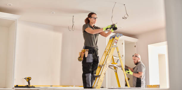Best Home Electrical Repair  in Mount Carroll, IL