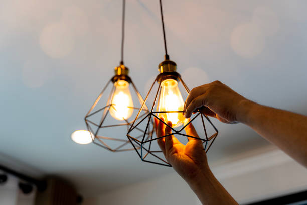 Best Ceiling Fan Installation Electrician  in Mount Carroll, IL