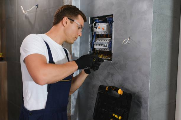 Best Generator Installation Services  in Mount Carroll, IL