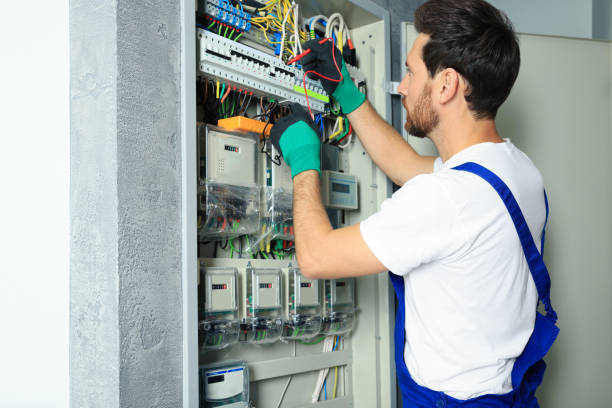 Best Electric Panel Repair  in Mount Carroll, IL
