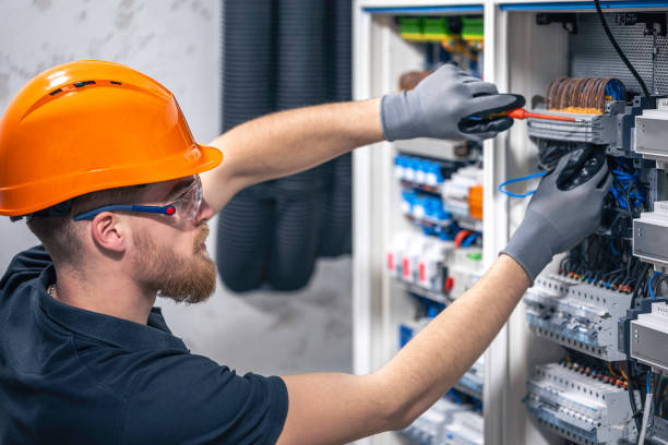 Best Electrical System Inspection  in Mount Carroll, IL
