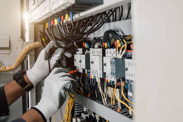 Best Electrician for Home Renovation  in Mount Carroll, IL